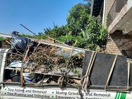 Best Shed Removal  in Three Lakes, WA